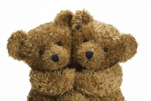 輸入壁紙 カスタム壁紙 PHOTOWALL / Cuddling Teddy Bears (e19690)