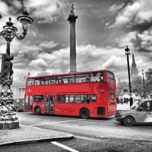 輸入壁紙 カスタム壁紙 PHOTOWALL / London Bus - Colorsplash (e20750)