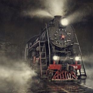 輸入壁紙 カスタム壁紙 PHOTOWALL / Train in the Rain (e22433)
