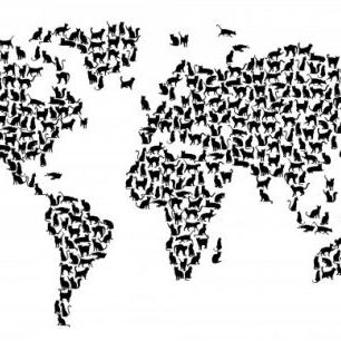 輸入壁紙 カスタム壁紙 PHOTOWALL / Cats World Map Black (e22698)