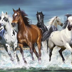 輸入壁紙 カスタム壁紙 PHOTOWALL / Running Horses (e23000)