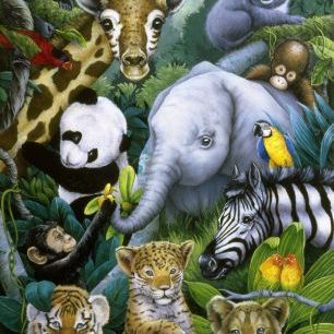 輸入壁紙 カスタム壁紙 PHOTOWALL / Jungle Animals (e23003)