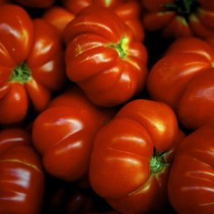 輸入壁紙 カスタム壁紙 PHOTOWALL / Italian Tomatoes - Jorge B. Garrido (e23280)