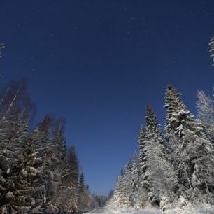 輸入壁紙 カスタム壁紙 PHOTOWALL / Winter Landscape in Mora, Sweden (e40511)