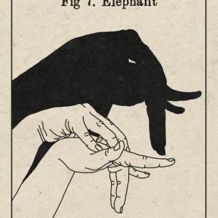 輸入壁紙 カスタム壁紙 PHOTOWALL / The Art of Shadows - Elephant (e31047)