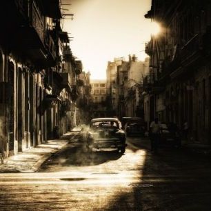 輸入壁紙 カスタム壁紙 PHOTOWALL / Mystic Morning in Havana (e310035)