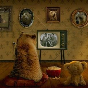 輸入壁紙 カスタム壁紙 PHOTOWALL / Bear and Teddy (e310476)