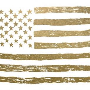 輸入壁紙 カスタム壁紙 PHOTOWALL / Gold U.S. Flag (e311346)