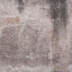 輸入壁紙 カスタム壁紙 PHOTOWALL / Rose Brown Concrete Wall (e313630)
