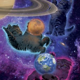 輸入壁紙 カスタム壁紙 PHOTOWALL / Cosmic Kittens (e313834)