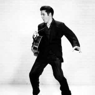 輸入壁紙 カスタム壁紙 PHOTOWALL / Elvis Presley (e314767)