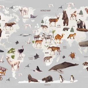 輸入壁紙 カスタム壁紙 PHOTOWALL / World of Animals Map (e321895)