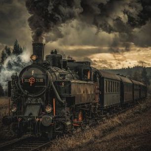 輸入壁紙 カスタム壁紙 PHOTOWALL / Gold Digger Train (e324083)