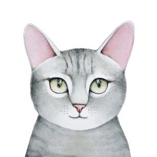 輸入壁紙 カスタム壁紙 PHOTOWALL / Fluffy Cat Portrait (e325031)