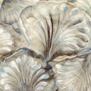 輸入壁紙 カスタム壁紙 PHOTOWALL / Artistic Seashells (e85574)