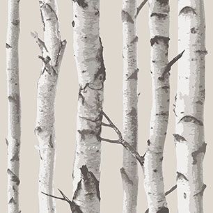 【サンプル】はがせる 壁紙 シール 「NU WALLPAPER」 Birch Tree Peel And Stick WALLPAPER / NU1650(NU3128)