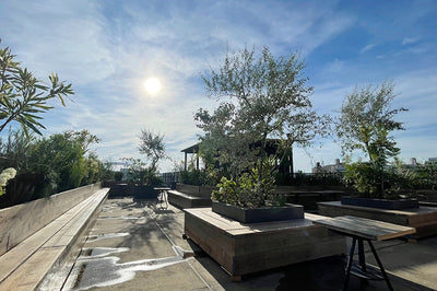 壁紙屋本舗のSDGs「地球となかよし大作戦！」