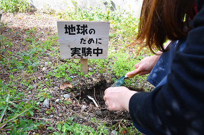 土に還る壁紙、掘り起こしてみました。