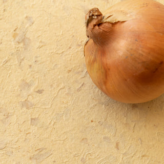 サスティナブルな暮らし