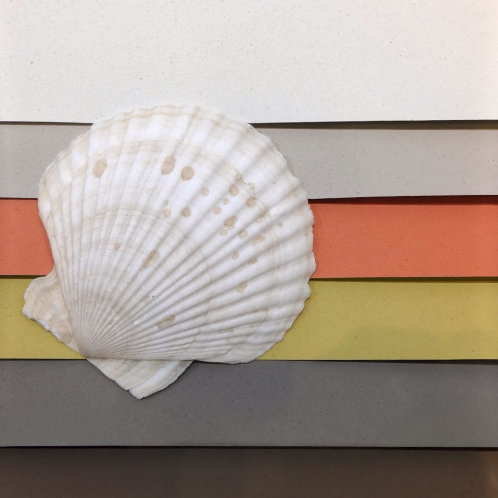 ELEMENTUM（自然素材）