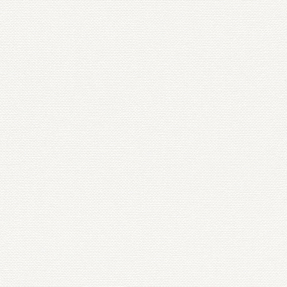 輸入壁紙 rasch / ラッシュ / 312102