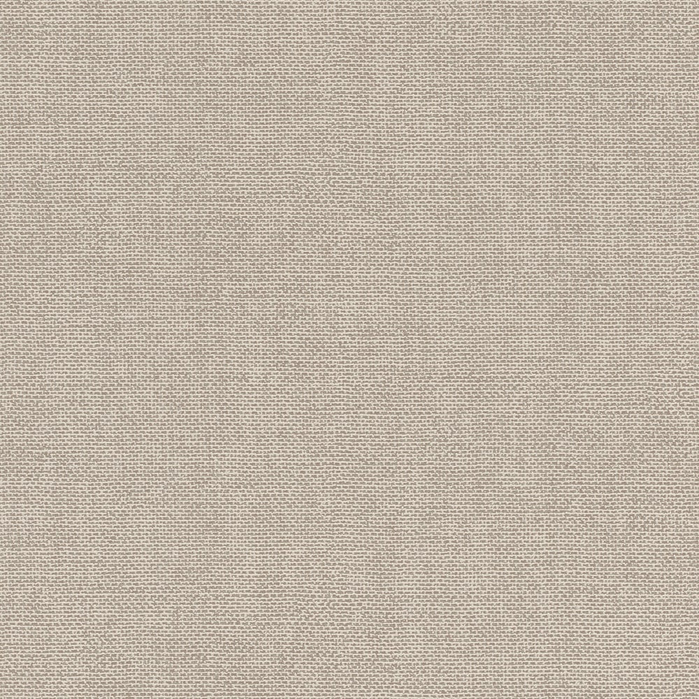 輸入壁紙 rasch / ラッシュ / 312164