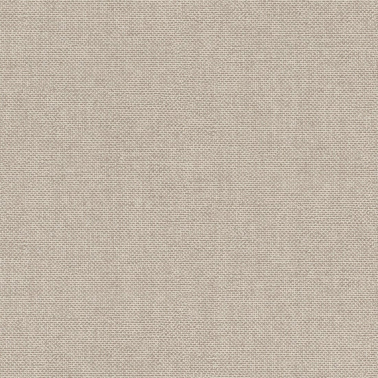 輸入壁紙 rasch / ラッシュ / 312164