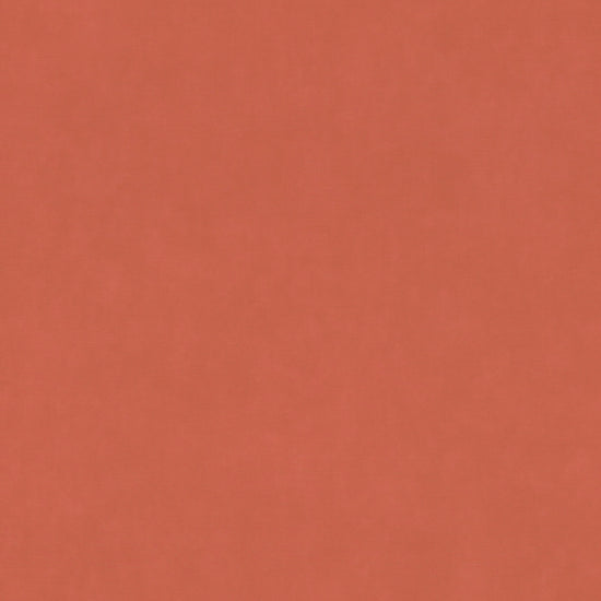 輸入壁紙 rasch / ラッシュ / 330113