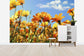 輸入壁紙 カスタム壁紙 PHOTOWALL / Spring Orange and Yellow Wildflowers (e19114)