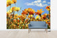 輸入壁紙 カスタム壁紙 PHOTOWALL / Spring Orange and Yellow Wildflowers (e19114)