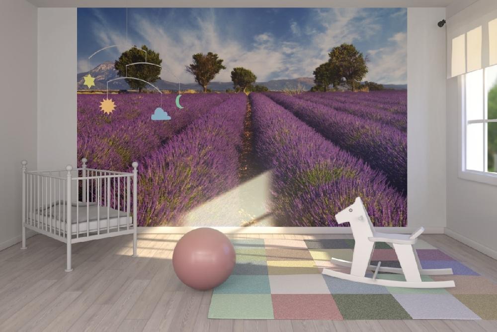 輸入壁紙 カスタム壁紙 PHOTOWALL / Lavender Field in Provence (e19149)