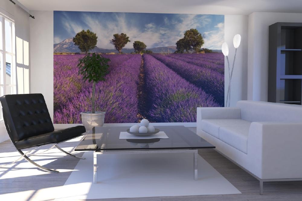 輸入壁紙 カスタム壁紙 PHOTOWALL / Lavender Field in Provence (e19149)