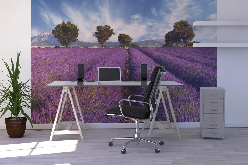 輸入壁紙 カスタム壁紙 PHOTOWALL / Lavender Field in Provence (e19149)