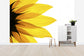 輸入壁紙 カスタム壁紙 PHOTOWALL / Sunflower Detail (e19171)