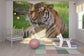 輸入壁紙 カスタム壁紙 PHOTOWALL / Tiger (e6306)