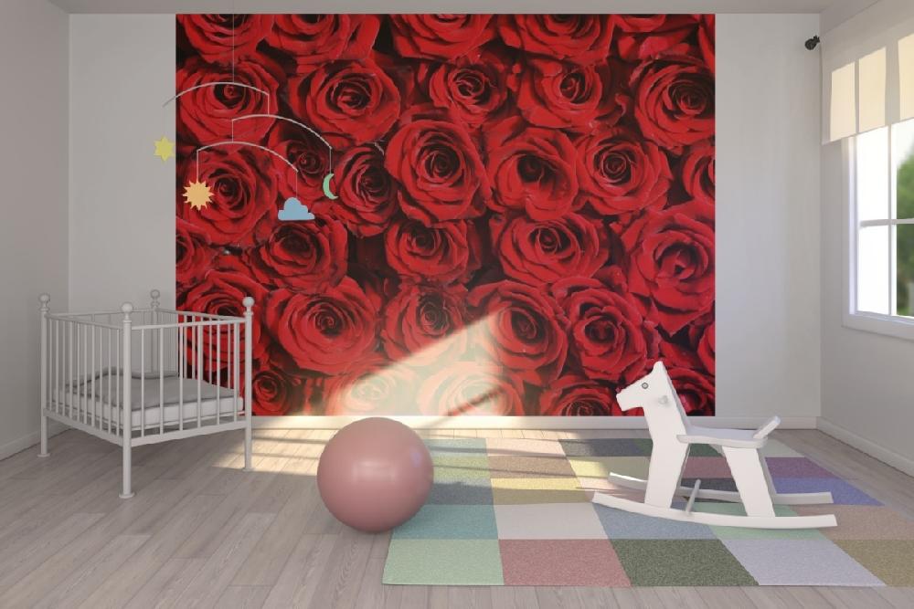 輸入壁紙 カスタム壁紙 PHOTOWALL / Red roses (e10118)