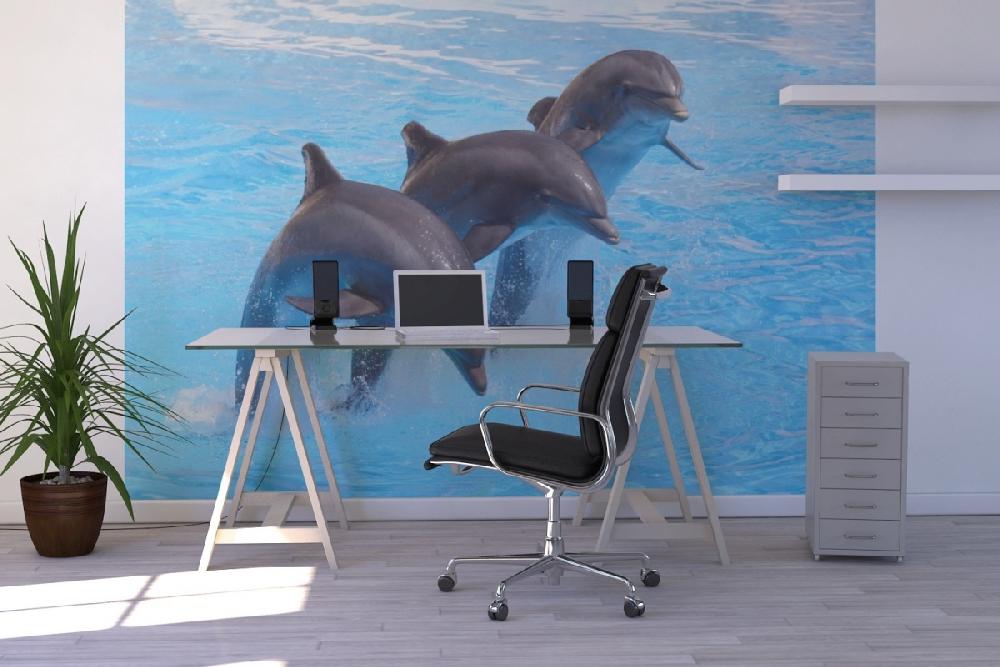 輸入壁紙 カスタム壁紙 PHOTOWALL / Bottlenose Dolphins (e9143)