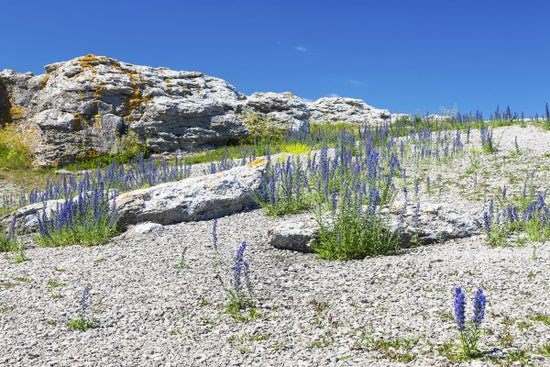 輸入壁紙 カスタム壁紙 PHOTOWALL / Rock Landscape in Gotland (e22859)