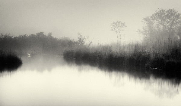 輸入壁紙 カスタム壁紙 PHOTOWALL / Lake and Trees (e22951)