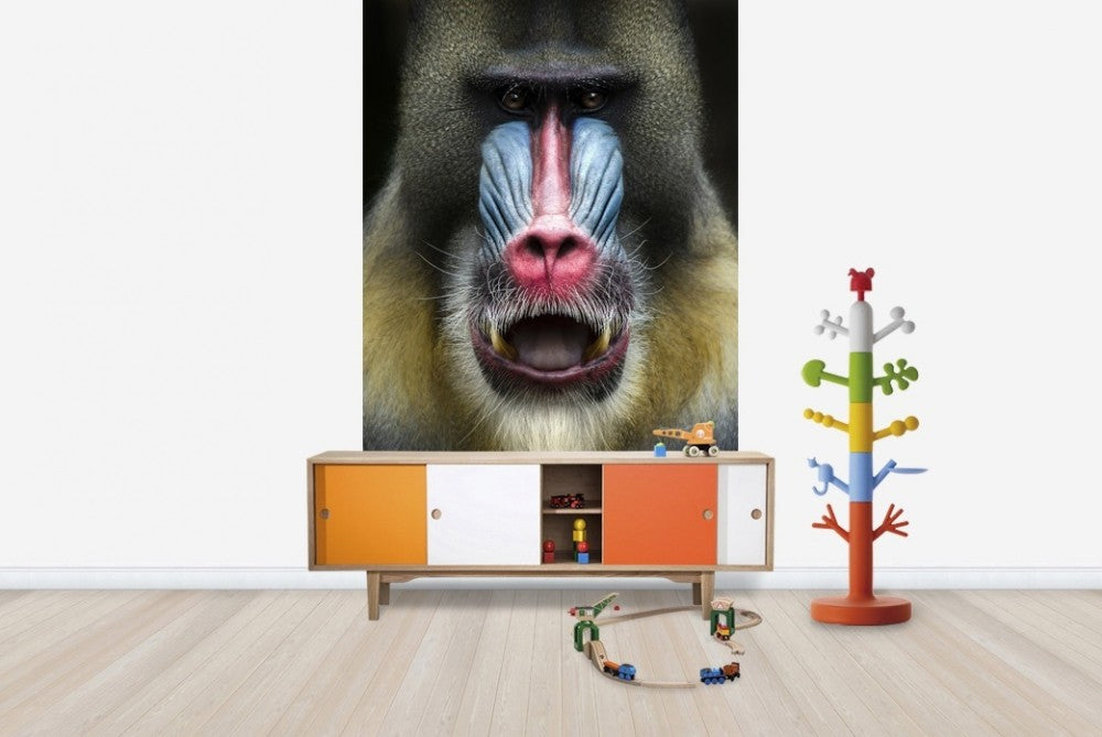 輸入壁紙 カスタム壁紙 PHOTOWALL / Mandrill Monkey Face (e22988)