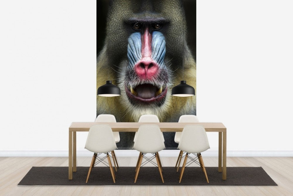 輸入壁紙 カスタム壁紙 PHOTOWALL / Mandrill Monkey Face (e22988)