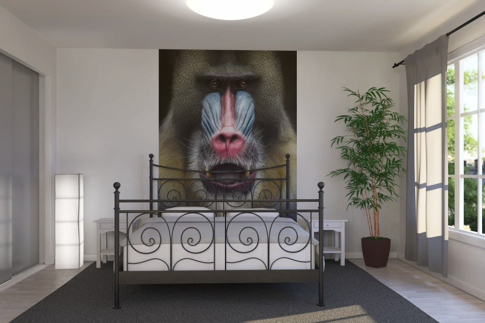 輸入壁紙 カスタム壁紙 PHOTOWALL / Mandrill Monkey Face (e22988)