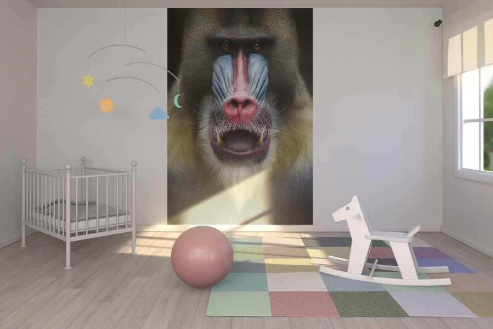 輸入壁紙 カスタム壁紙 PHOTOWALL / Mandrill Monkey Face (e22988)