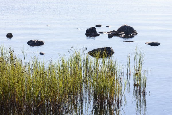 輸入壁紙 カスタム壁紙 PHOTOWALL / Stones in Water, Gotland (e23050)