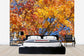 輸入壁紙 カスタム壁紙 PHOTOWALL / Autumn Leaves, Gotland (e23054)