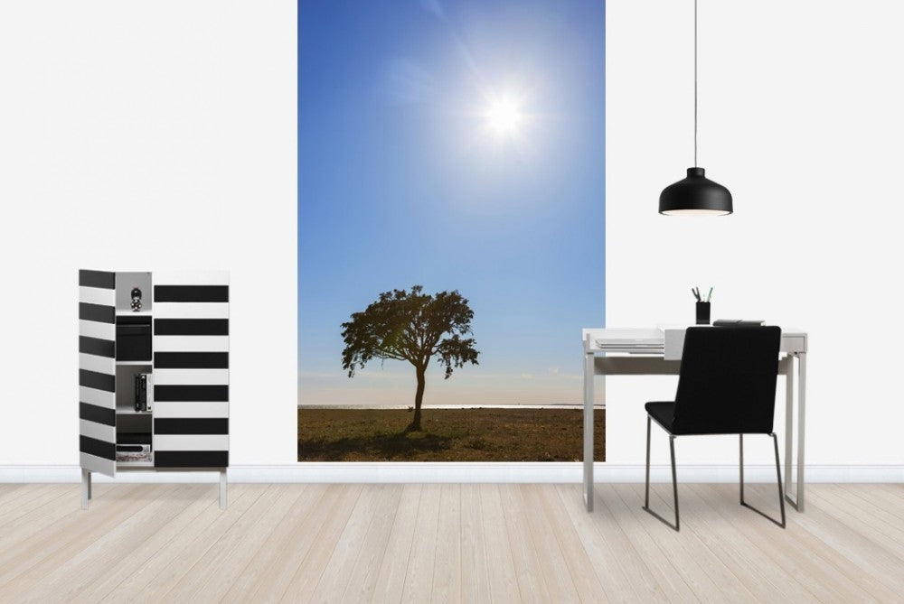 輸入壁紙 カスタム壁紙 PHOTOWALL / Sunny Lonely Tree, Gotland (e23075)