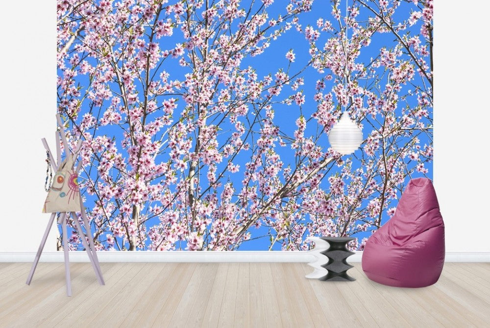 輸入壁紙 カスタム壁紙 PHOTOWALL / Cherry Blossom Tree (e23083)