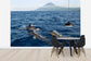 輸入壁紙 カスタム壁紙 PHOTOWALL / Dolphins in the Azores (e23522)