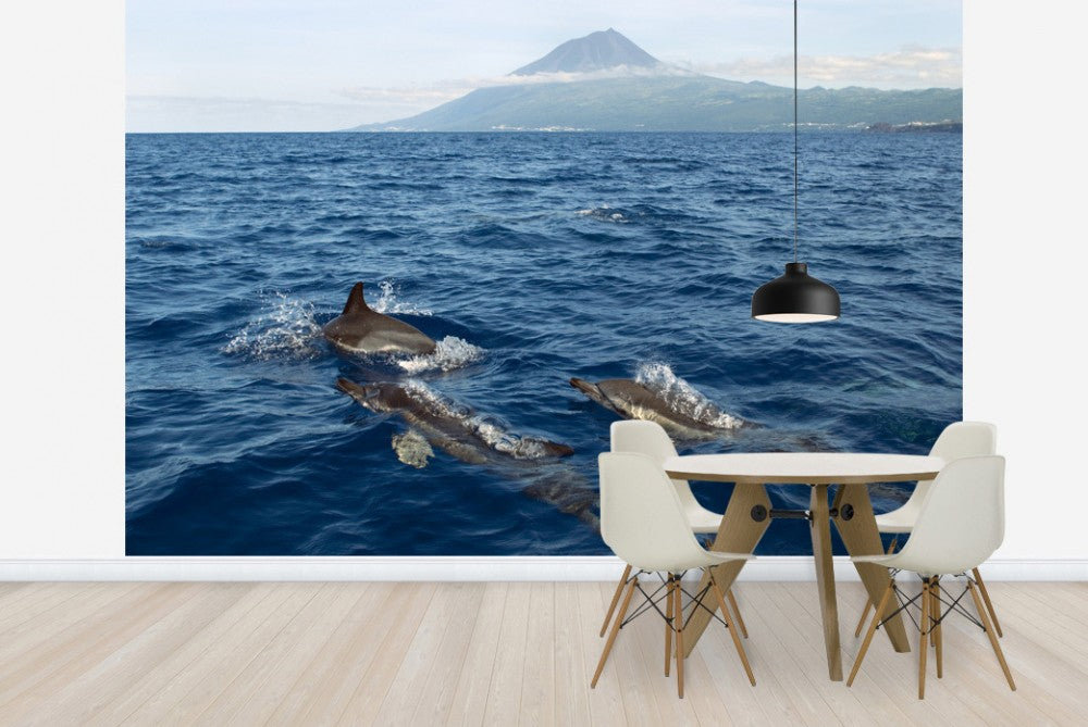 輸入壁紙 カスタム壁紙 PHOTOWALL / Dolphins in the Azores (e23522)