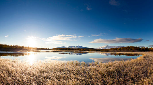 輸入壁紙 カスタム壁紙 PHOTOWALL / Northern Swedish Landscape (e23674)